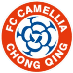 重庆笛凯忠赤队标,重庆笛凯忠赤图片